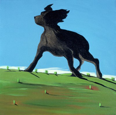 Amazing Black Dog by Marjorie Weiss